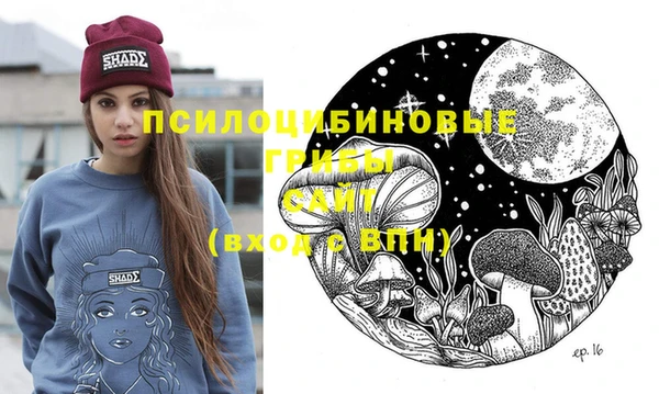 ПСИЛОЦИБИНОВЫЕ ГРИБЫ Алексин