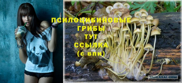 сатива Алзамай