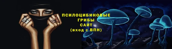 ПСИЛОЦИБИНОВЫЕ ГРИБЫ Алексин