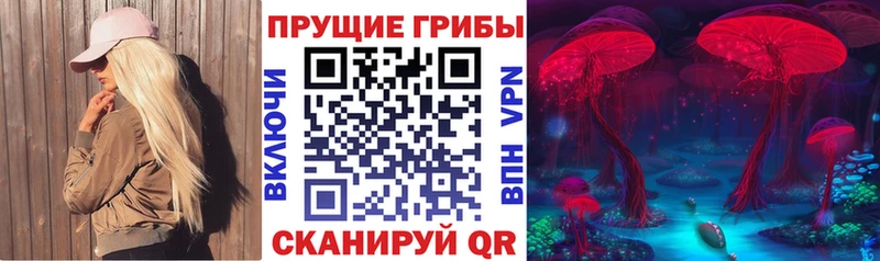 даркнет сайт  мориарти наркотические препараты  Псилоцибиновые грибы прущие грибы  Еманжелинск 